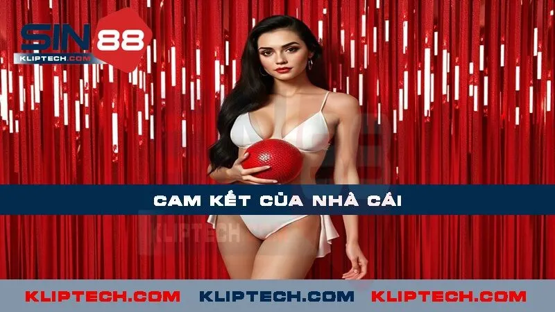 Cam kết của nhà cái về quyền riêng tư khách hàng 